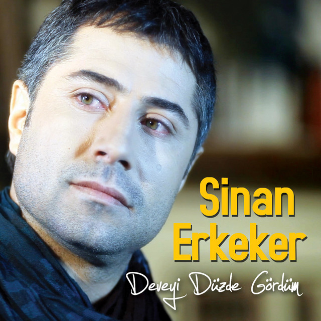 Deveyi Düzde Gördüm