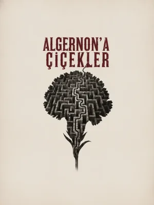 Algernona Çiçekler I Gaziantep