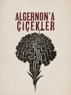 Algernona Çiçekler I Samsun