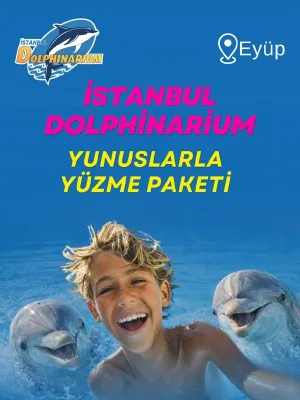 Istanbul Dolphinarium 10 Dakikalık Yunuslarla Yüzme - Tanışma