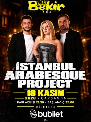 Istanbul Arabesque Project