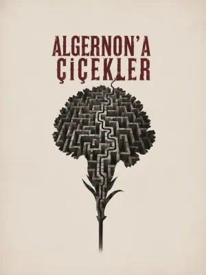 Algernona Çiçekler I Edirne