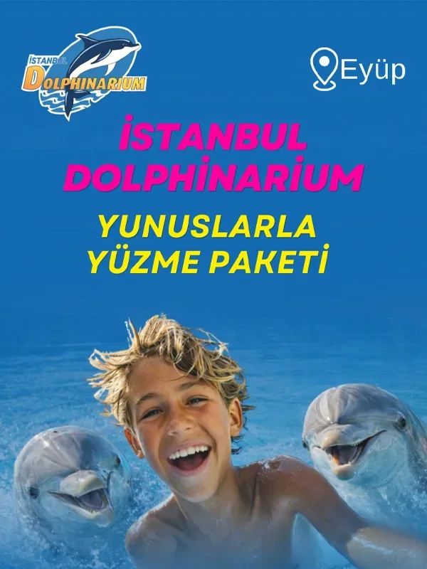 Istanbul Dolphinarium 10 Dakikalık Yunuslarla Yüzme - Tanışma