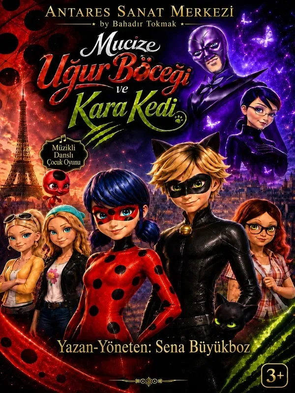 Mucize Uğur Böceği Ve Kara Kedi