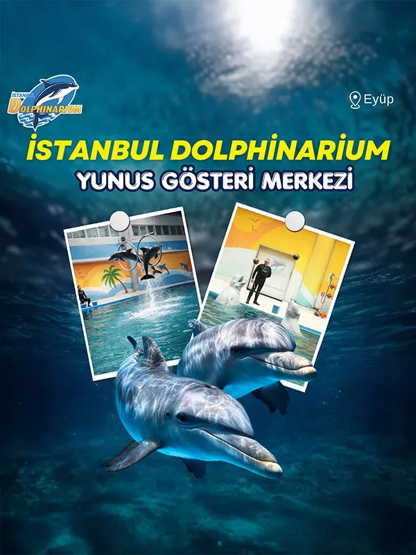 Istanbul Dolphinarium Yunus Gösteri Merkezi