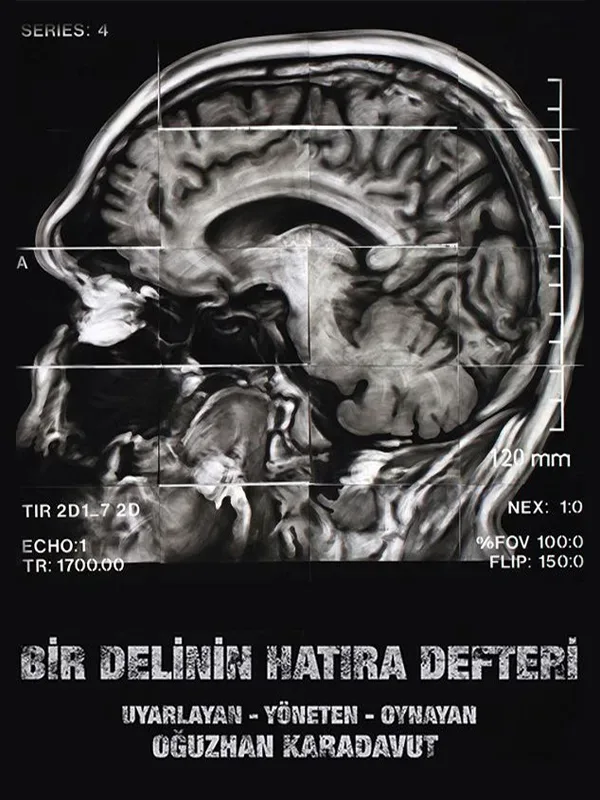 Bir Delinin Hatıra Defteri - Oğuzhan Karadavut