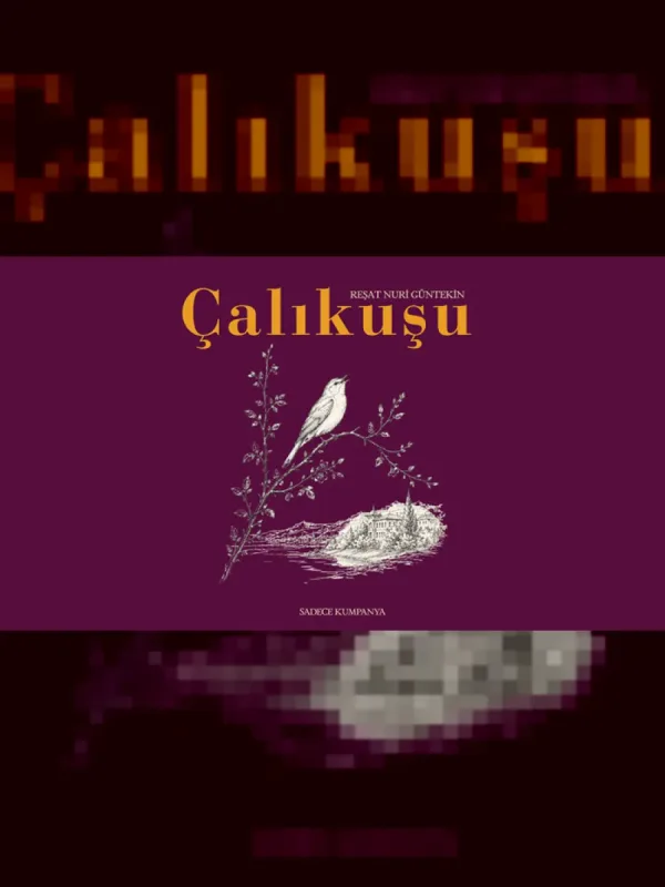 Çalıkuşu | Samsun